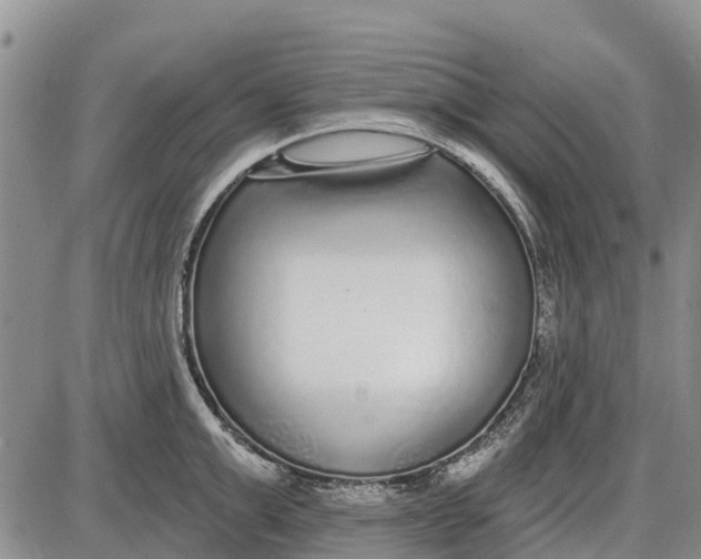 X0000085000999200703261124