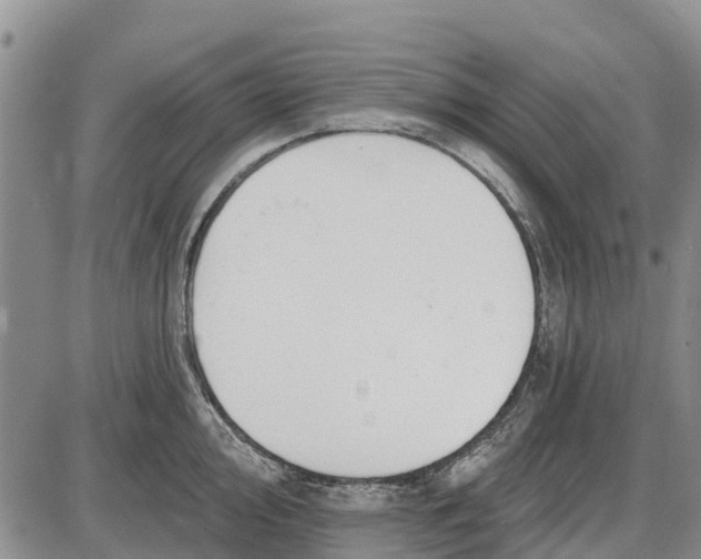 X0000085001000200703261124