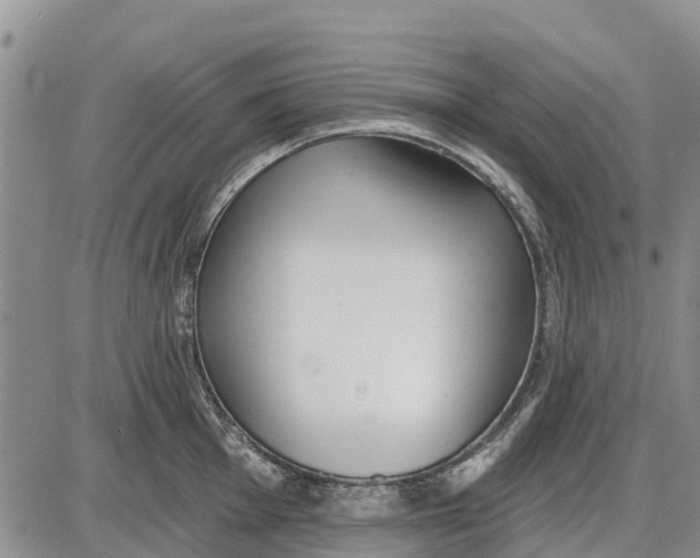 X0000085001001200703261124