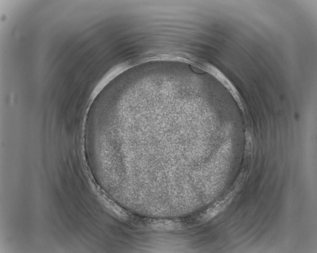 X0000085001002200703261124