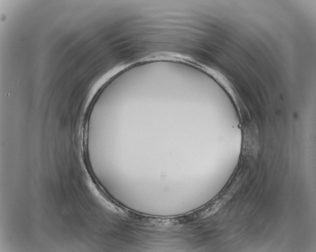 X0000085001003200703261124