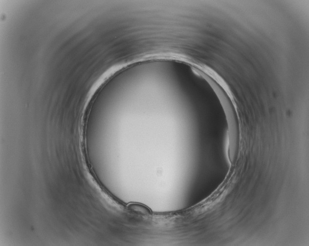 X0000085001005200703261124