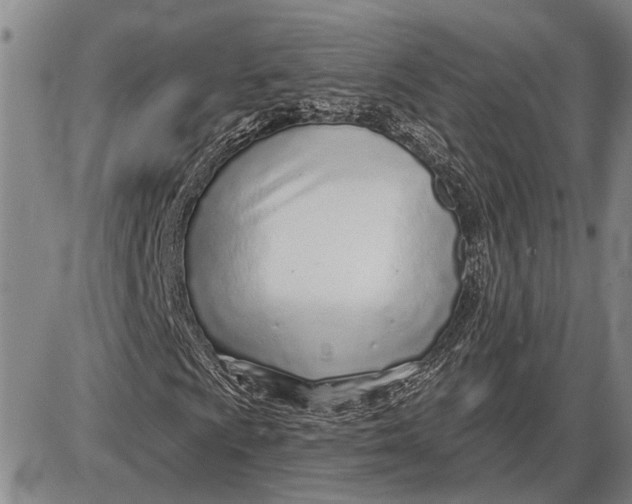 X0000085001009200703261123