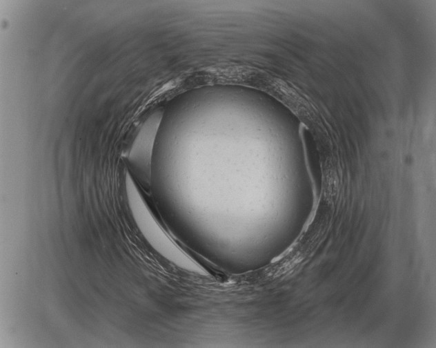 X0000085001010200703261123