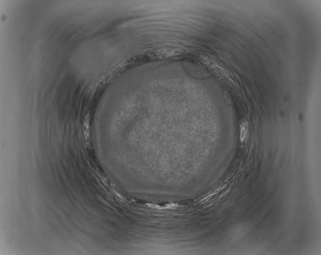 X0000085001011200703261123