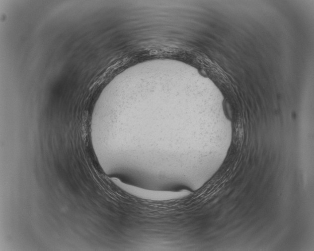 X0000085001012200703261123