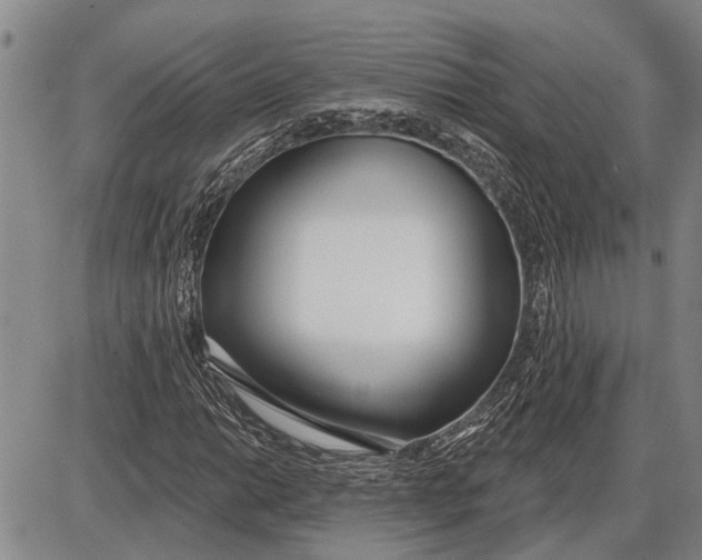 X0000085001014200703261123