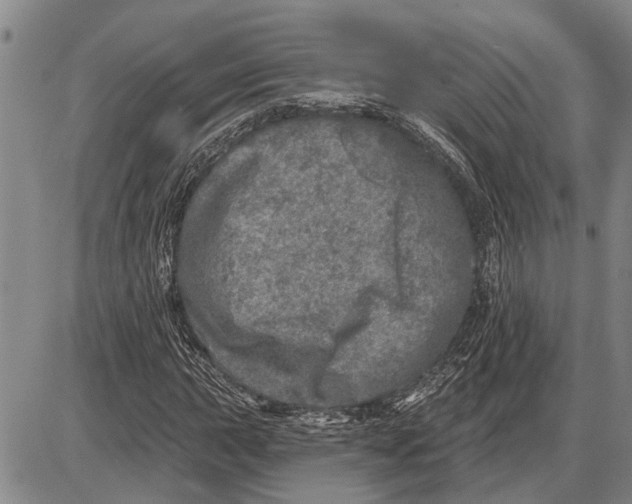 X0000085001015200703261123