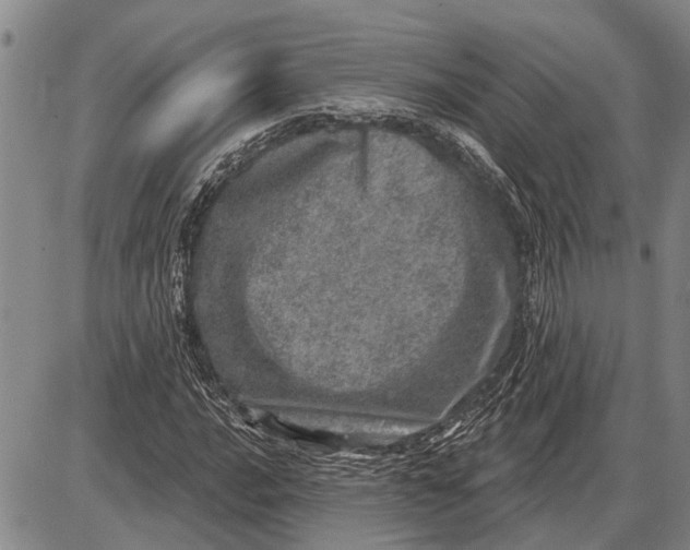 X0000085001016200703261123