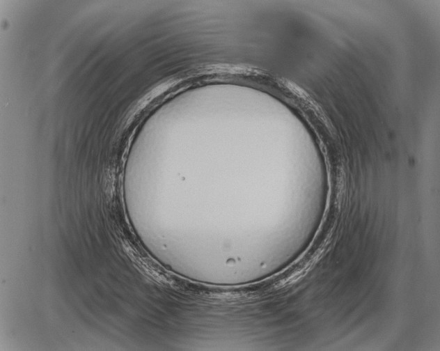 X0000085001017200703261123