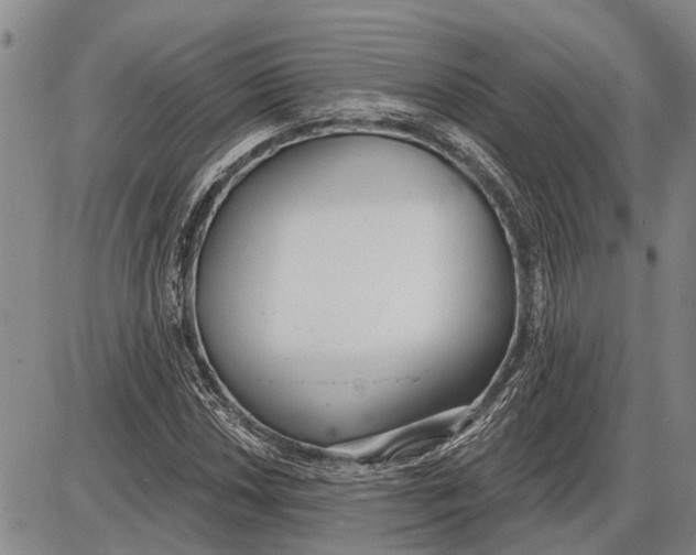 X0000085001018200703261123