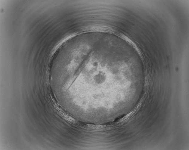 X0000085001019200703261123