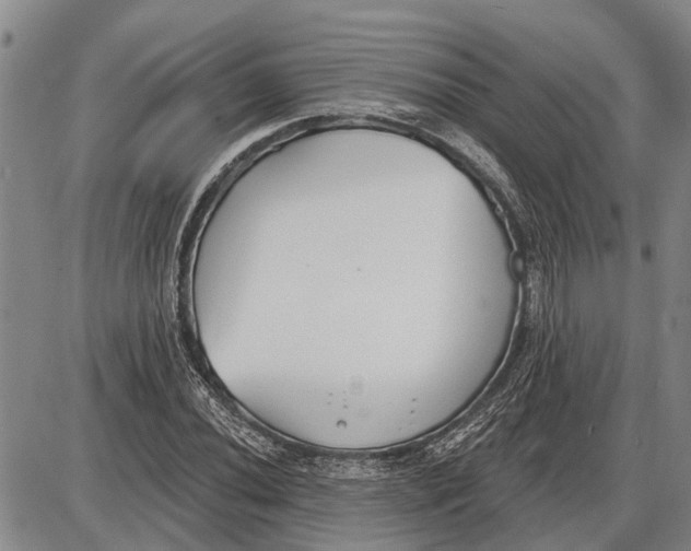 X0000085001020200703261123