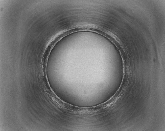 X0000085001022200703261123