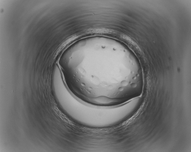 X0000085001025200703261123