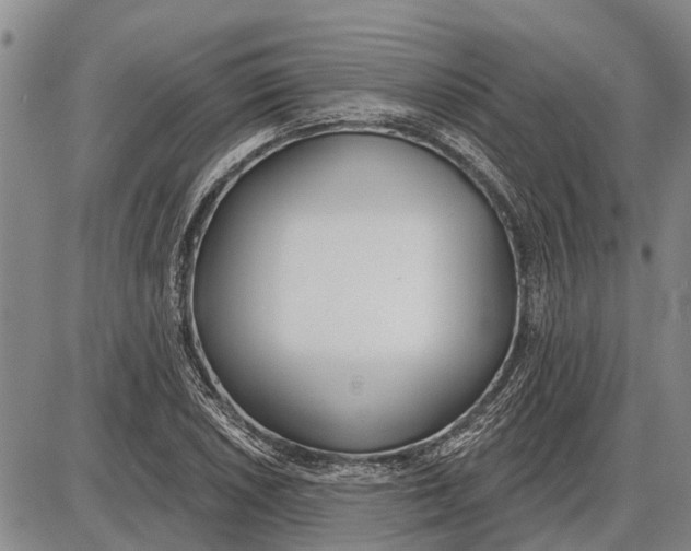 X0000085001026200703261123