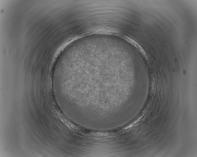 X0000085001027200703261123