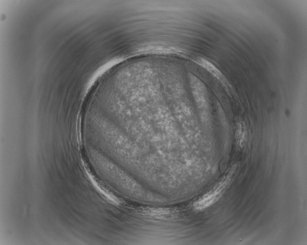 X0000085001030200703261123