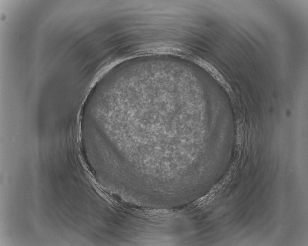 X0000085001031200703261123