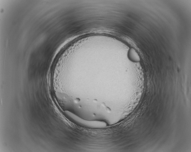 X0000085001032200703261123