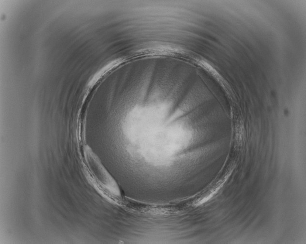 X0000085001034200703261123