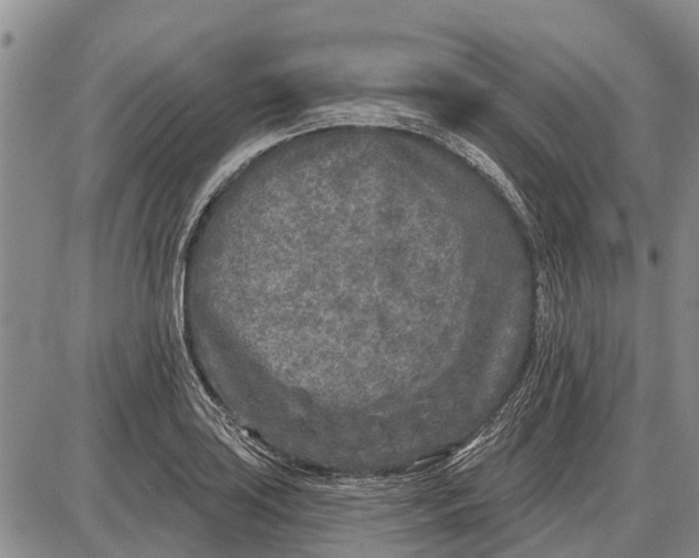 X0000085001035200703261123