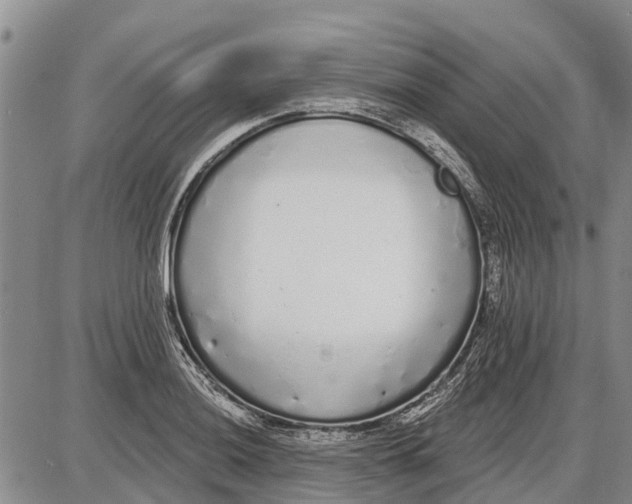 X0000085001036200703261123