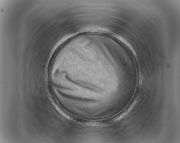 X0000085001037200703261123