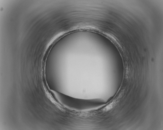 X0000085001038200703261123