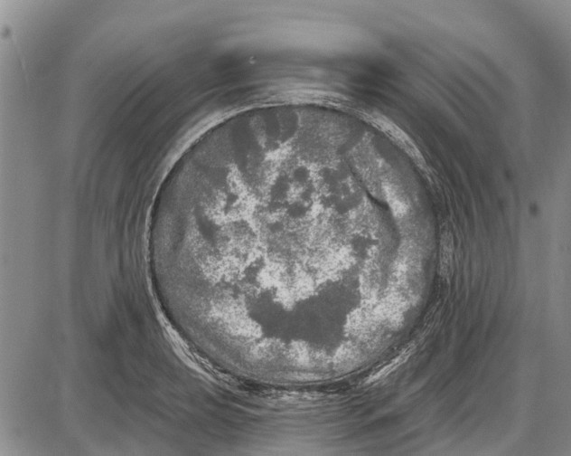 X0000085001039200703261123