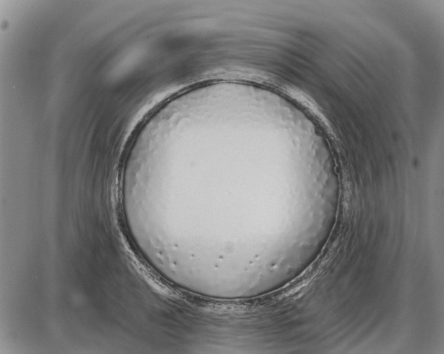 X0000085001040200703261123