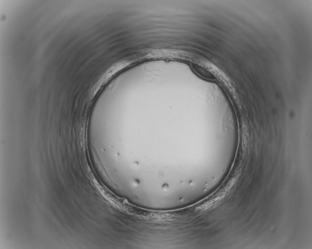 X0000085001041200703261123