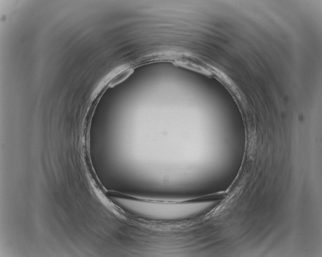 X0000085001042200703261123