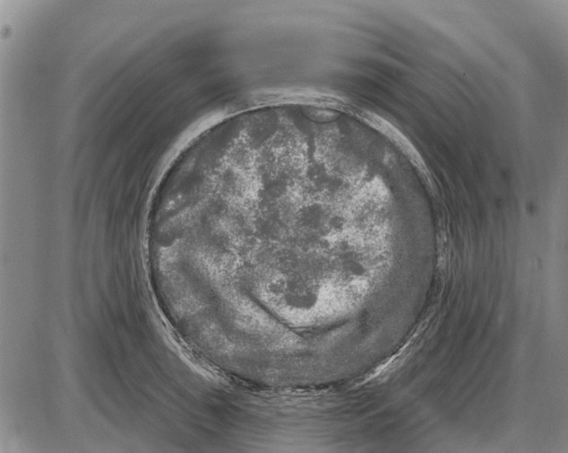 X0000085001043200703261123