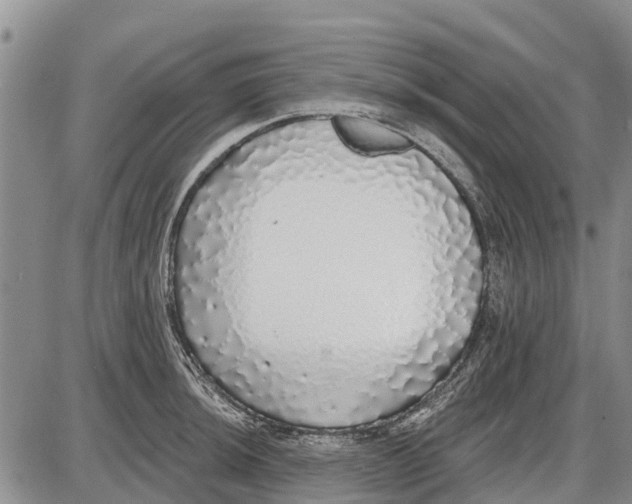 X0000085001044200703261123