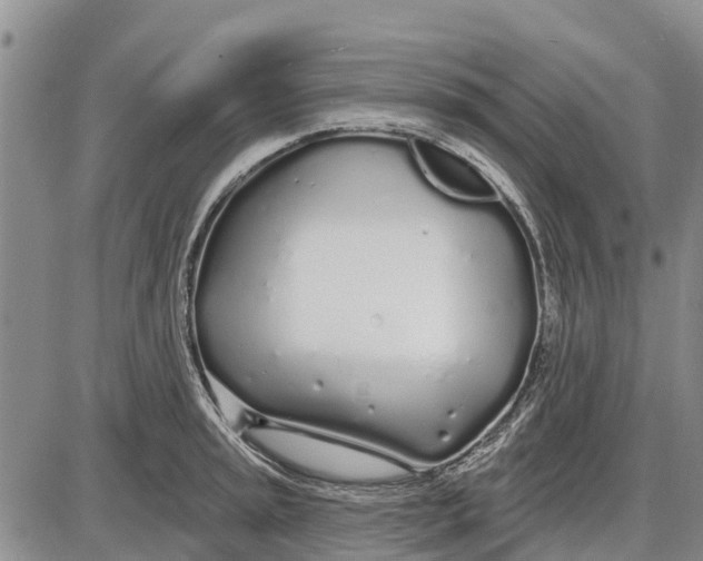 X0000085001045200703261123