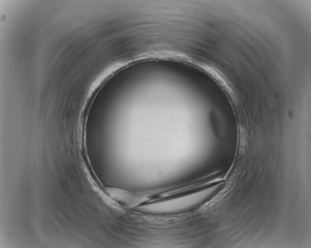 X0000085001046200703261123