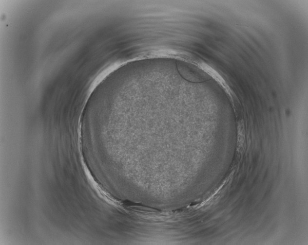 X0000085001047200703261123