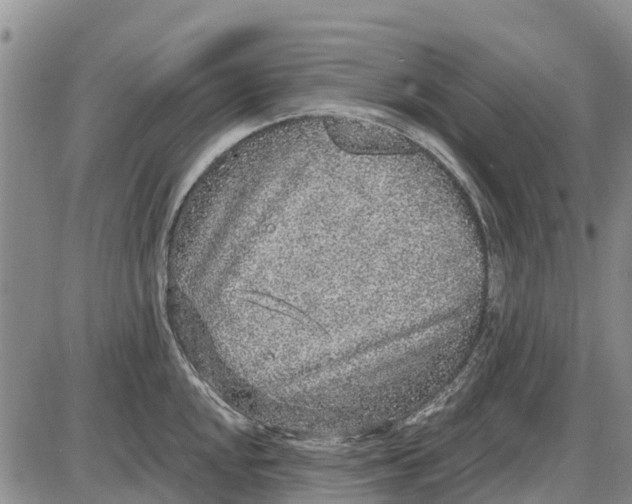 X0000085001048200703261123