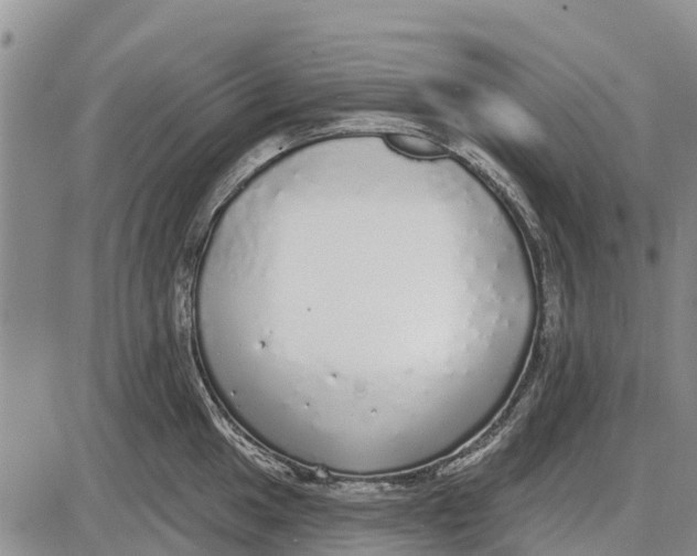 X0000085001049200703261123