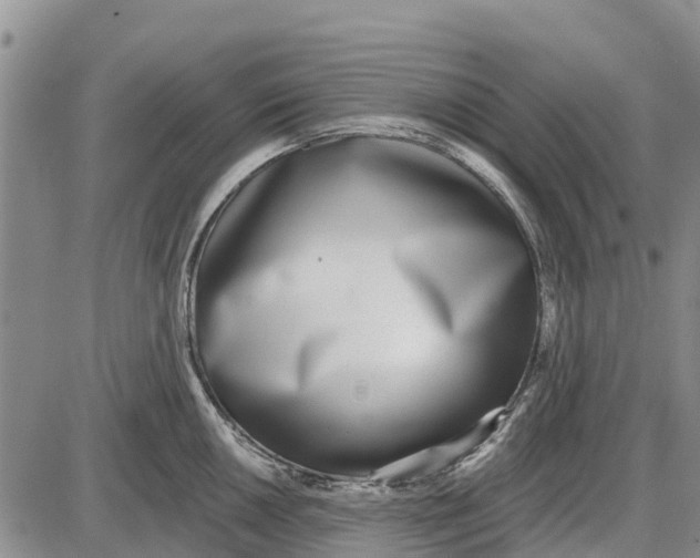 X0000085001050200703261123