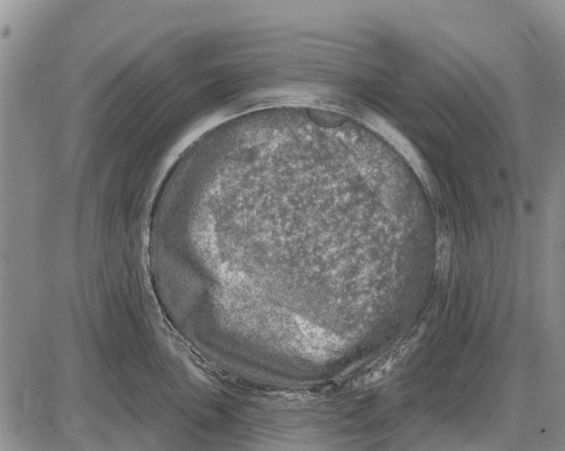 X0000085001051200703261123