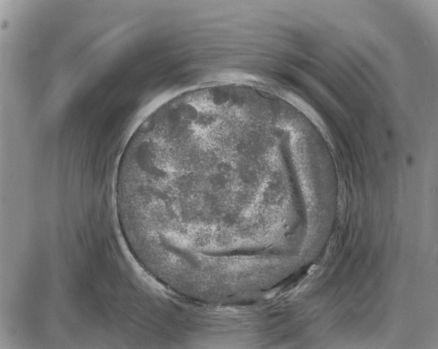 X0000085001055200703261124