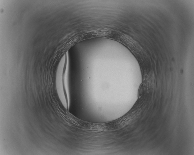 X0000085001058200703261123