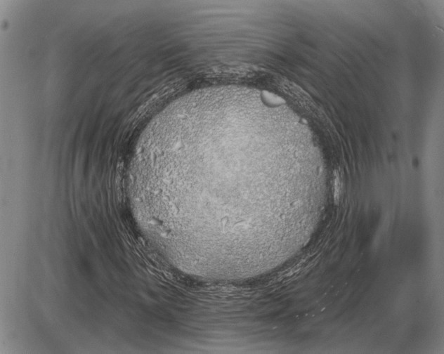 X0000085001059200703261123