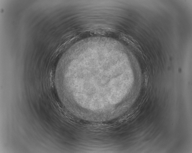 X0000085001060200703261123