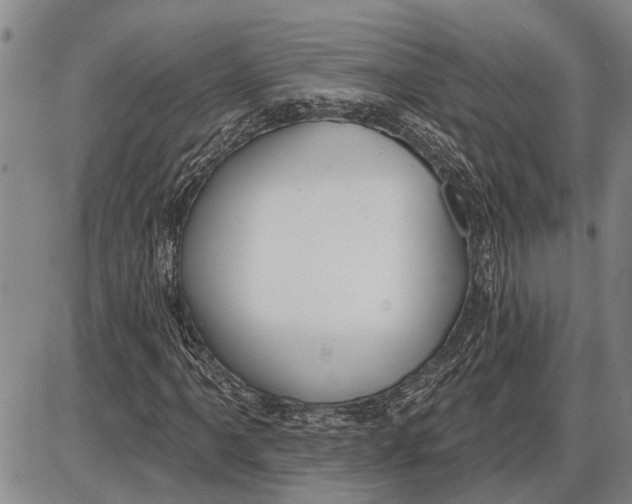 X0000085001061200703261123