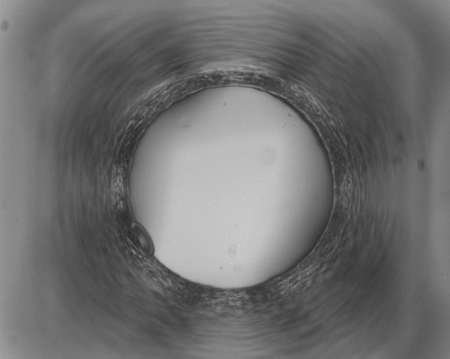 X0000085001062200703261123