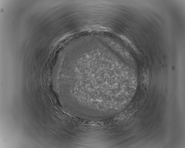 X0000085001063200703261123