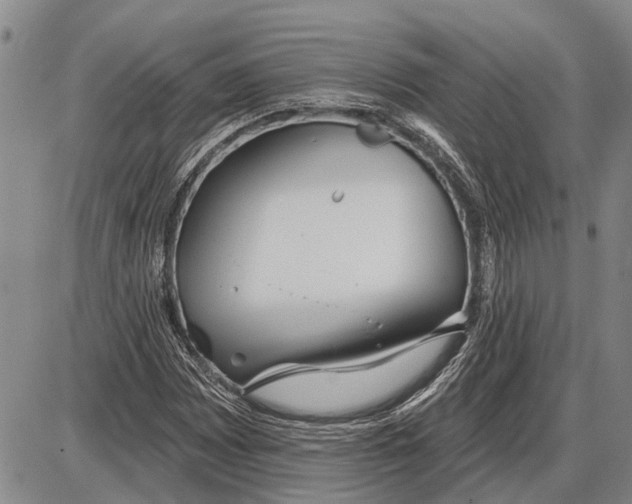 X0000085001065200703261123